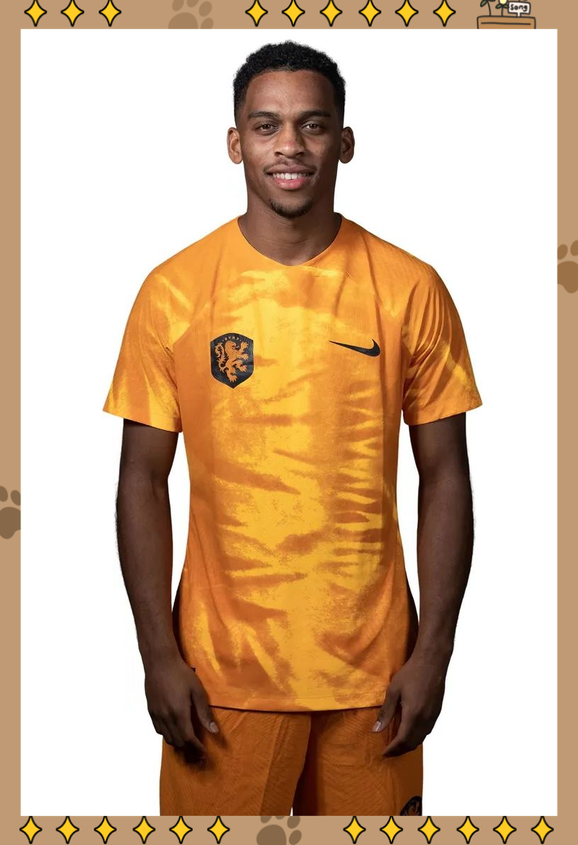 关于荷兰足球传奇露面联赛，模范榜样！的信息